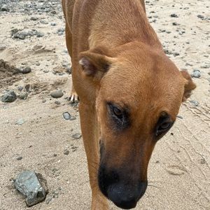 Meet your Posher, Milica